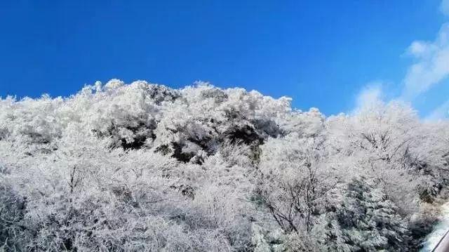 迪迦奥特曼大古黑化了！骗自己女友丽娜去送死，是个弟中弟！游戏画面