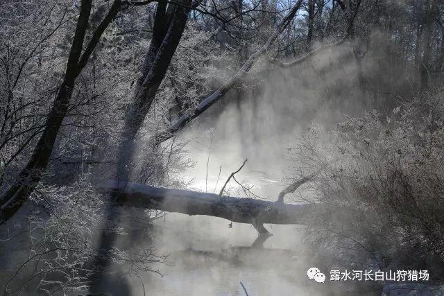次元喵