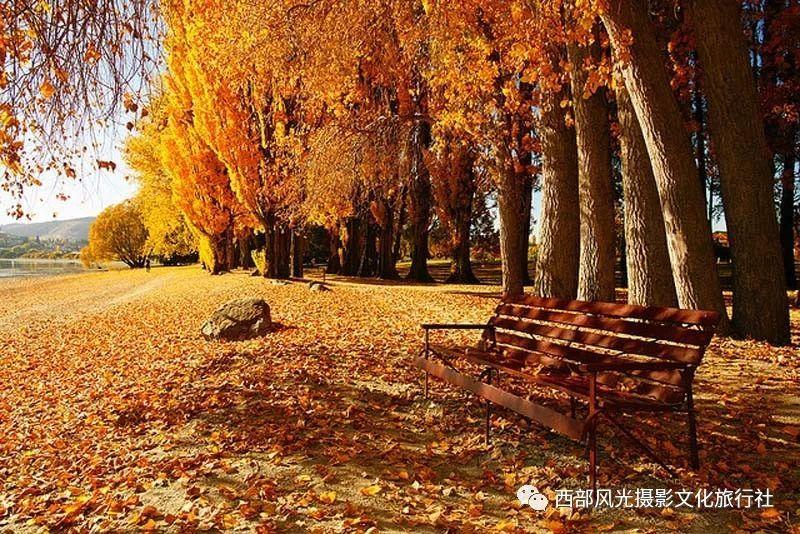 我是经济管理大专毕业的，现在想考二级建造师，请问，我能报吗？游戏画面