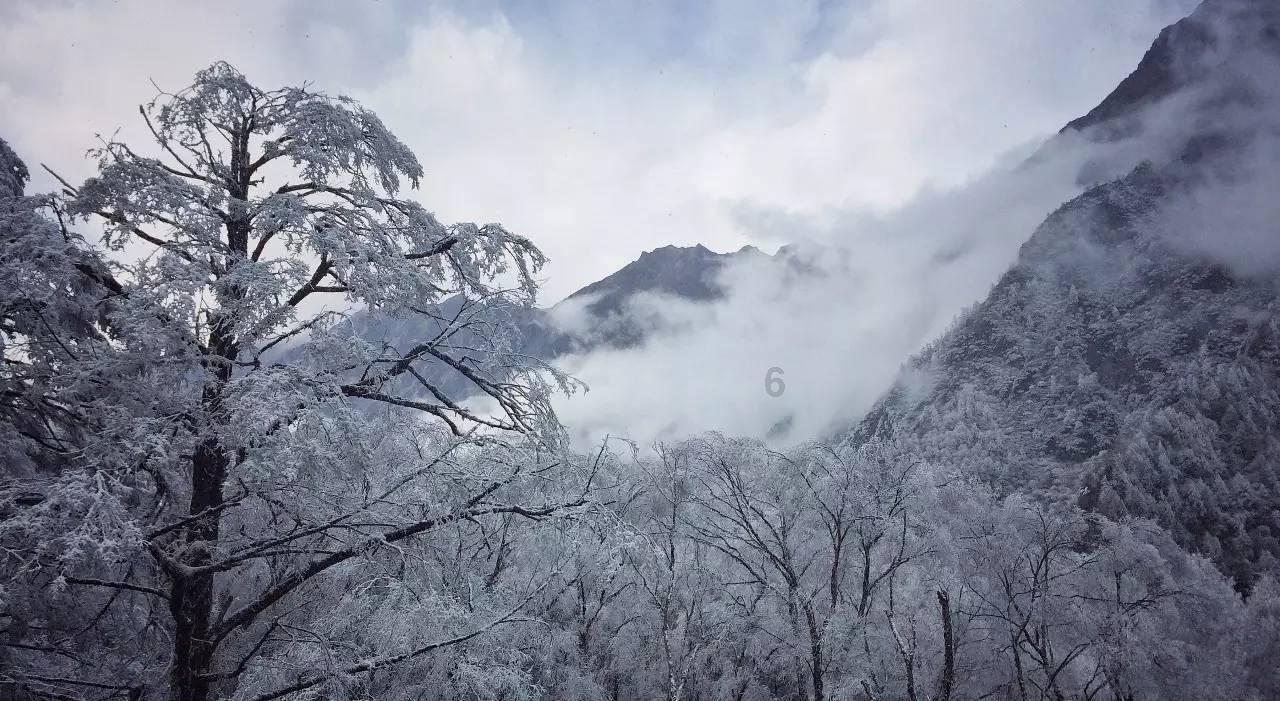 救援小鼓手