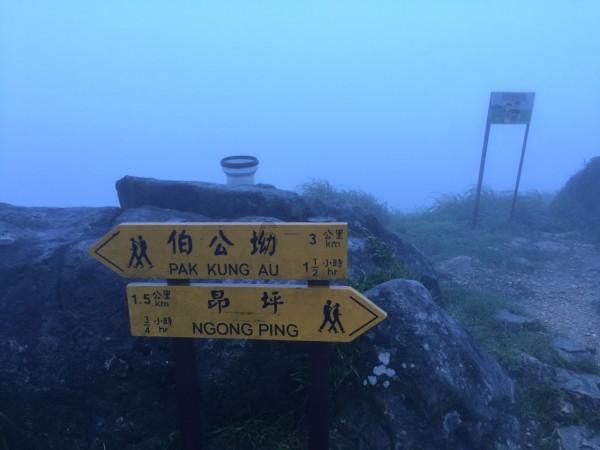 项羽为什么没有重用韩信