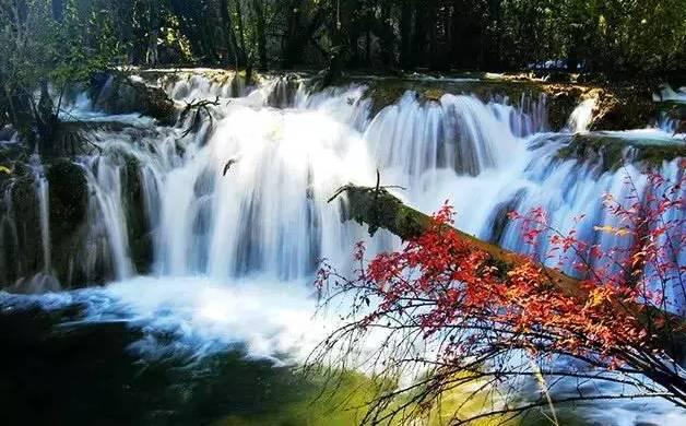 逃离可爱村落