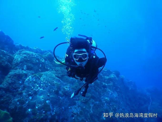 精灵女王的礼物