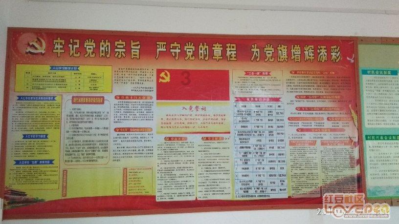 救援蓝色小兔