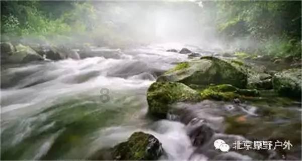 刘志清:2024年银行业有望持续保持稳健发展势头,机构和功能布局更为合理