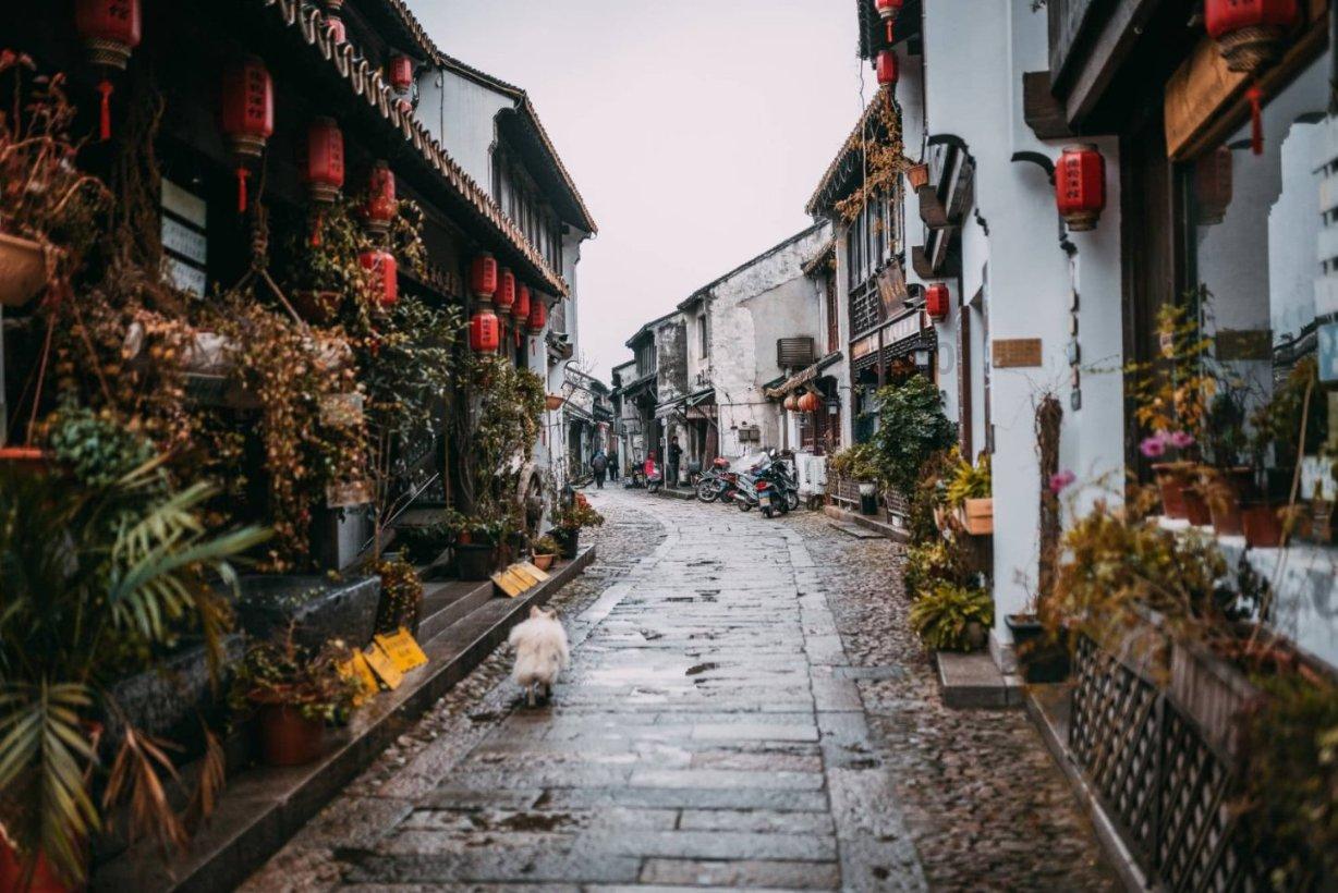 春雨直播app