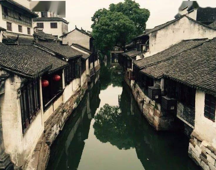 老公在家隔离老婆能去上班吗游戏画面