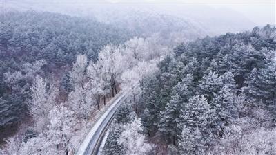 潍坊银行：巧用“云链”托“绿金” 主动做好“大文章”